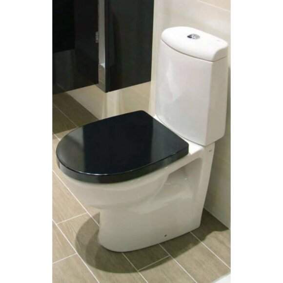 Чаша напольного унитаза Roca Victoria Nord 342ND7000