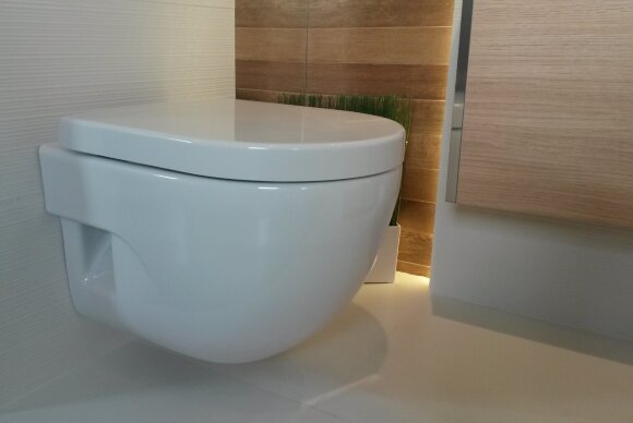 Унитаз подвесной Roca Meridian 346248000 Compact